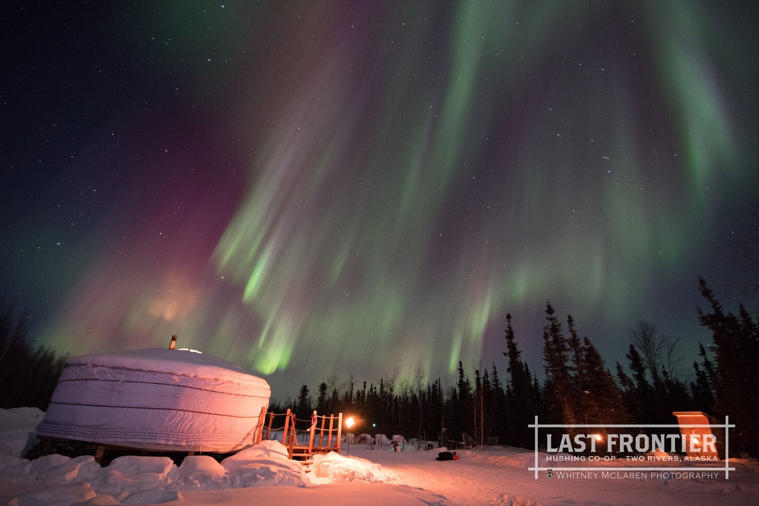 Why Frontier Mushing Co‑op Deserves a Front-Page Glimpse in The Wilds of Alaska Journal