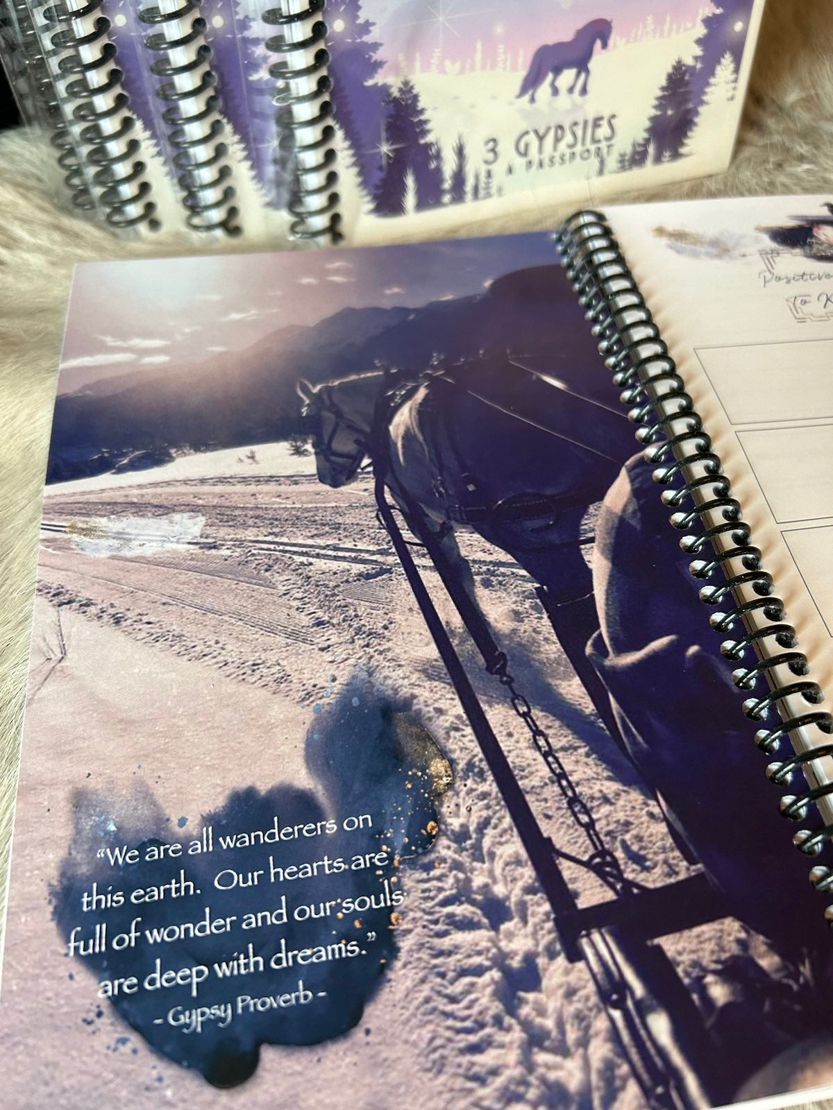 120 Day Adventure Planner - Limited Quantities!