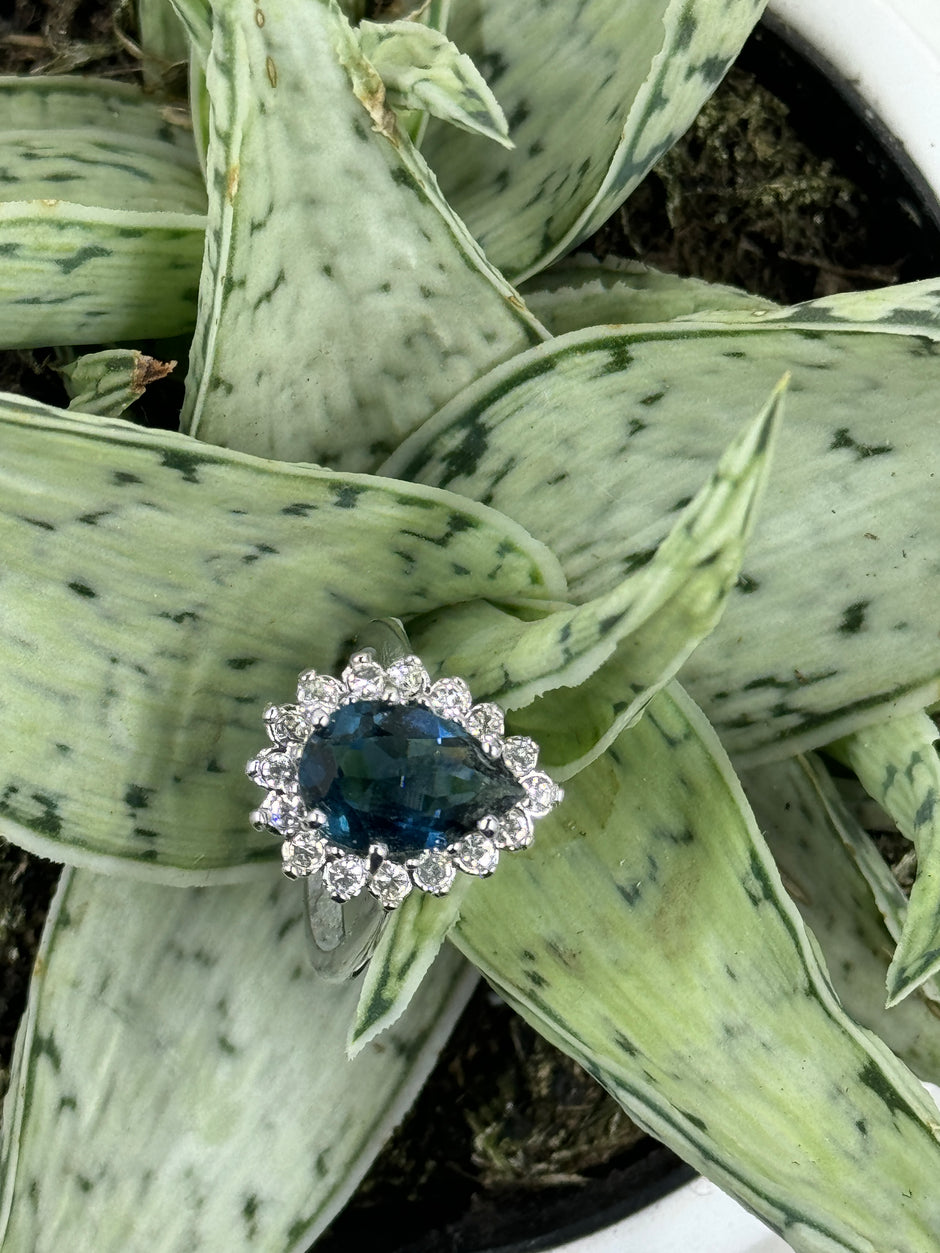 Blue and White Glass Ring on green plant