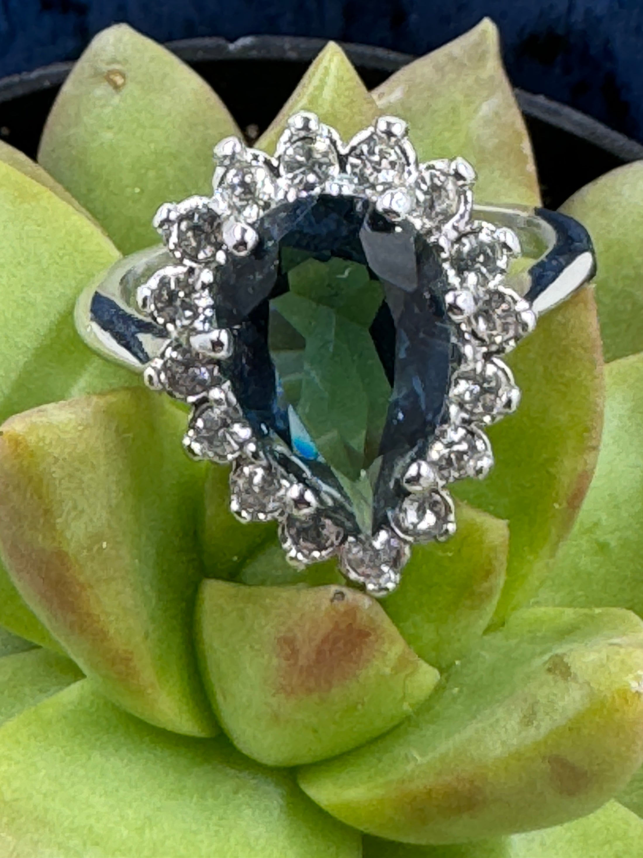 Blue and White Glass Ring on green plant