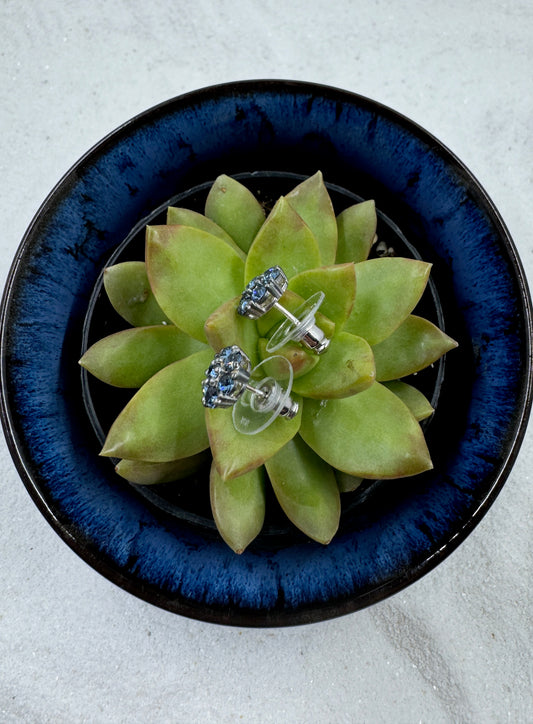 Side view of Blue Swaroski Stud earrings sitting on top of a plant in blue bowel