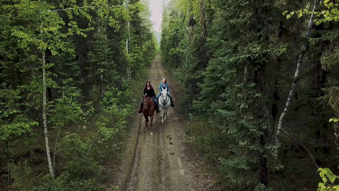 Girls riding horses, mushing, girl walking in forest, man playing with a dog, woman writing in a journal video